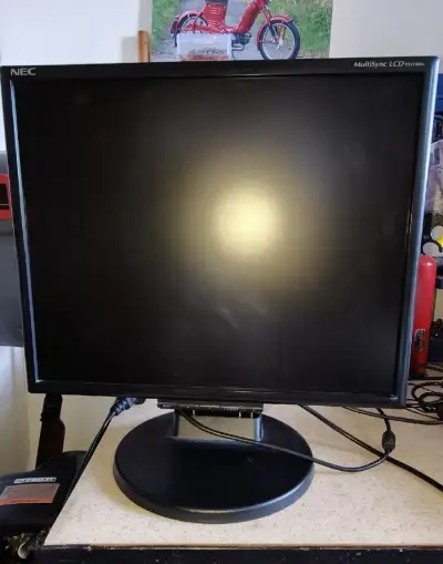 19" LCD monitor NEC MultiSync LCD195VXM+ (DVI, VGA, repro)