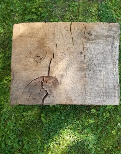 dubová stolička sedátko + doprava zdarma