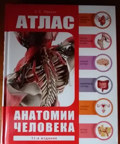 S. S. Ljovkin - Atlas lidské anatomie