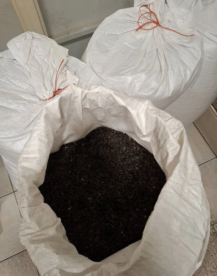 Slunečnice černá 1kg 25 Kč