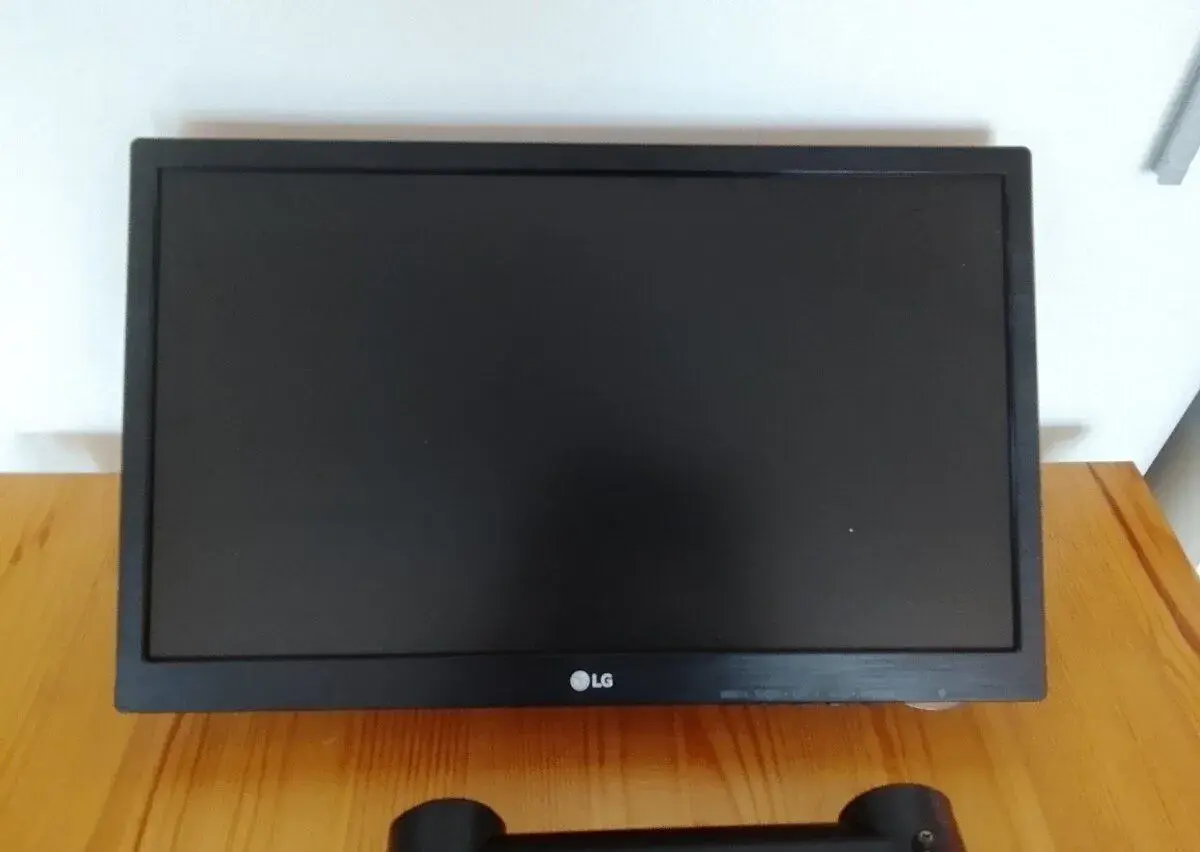 Monitor LG 19M38A‑B