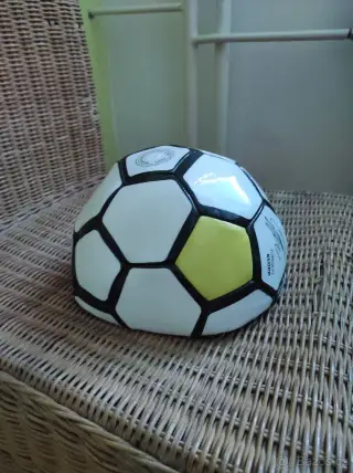 Fotbalový míč