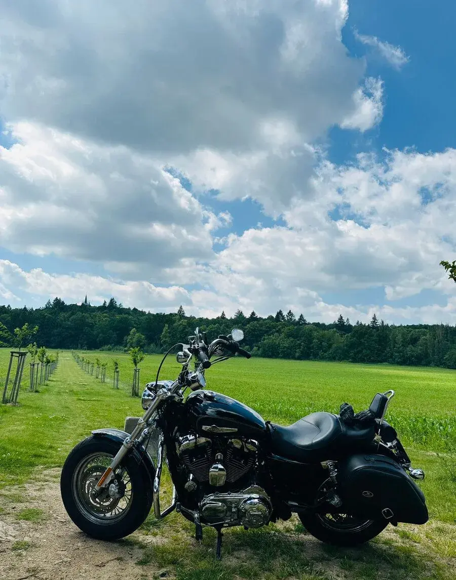 Harley Davidson Sportster XL 1200 C
