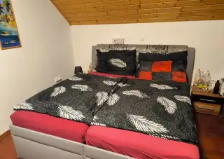 Pronájem domu