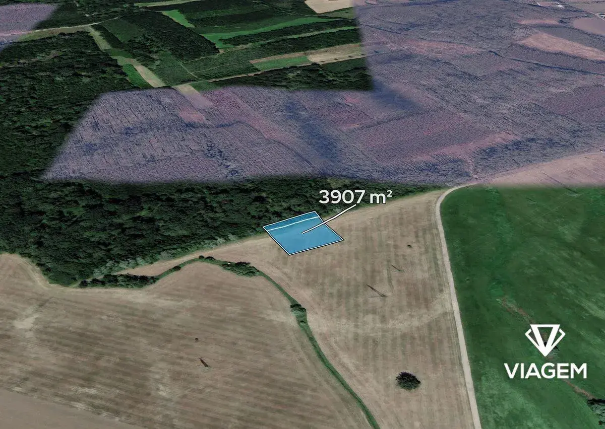 Pole 3 907 m², Podíl 10 % o výměře 391 m²