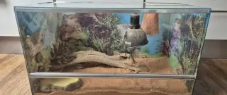 Terárium.