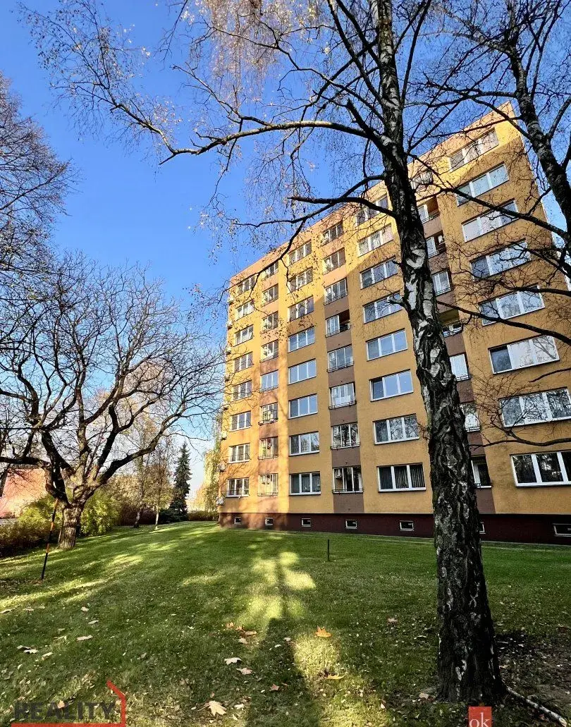 Podnájem, byty/1+1, 28 m2, Plzeňská 1566/15, Hrabůvka, 70030