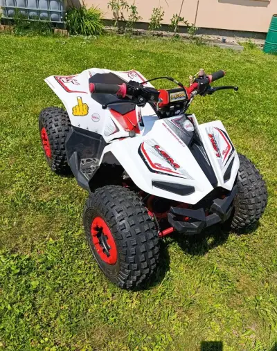 Čtyřkolka LEM Grizzly 110