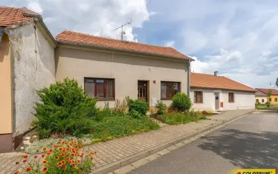Hrušovany nad Jevišovkou, RD 4+1, k rekonstrukci, zahrada -