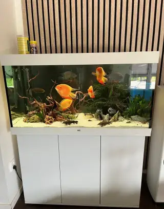 Akvárium Juwel Rio 350 l komplet – Smart High-Tech biotop (p