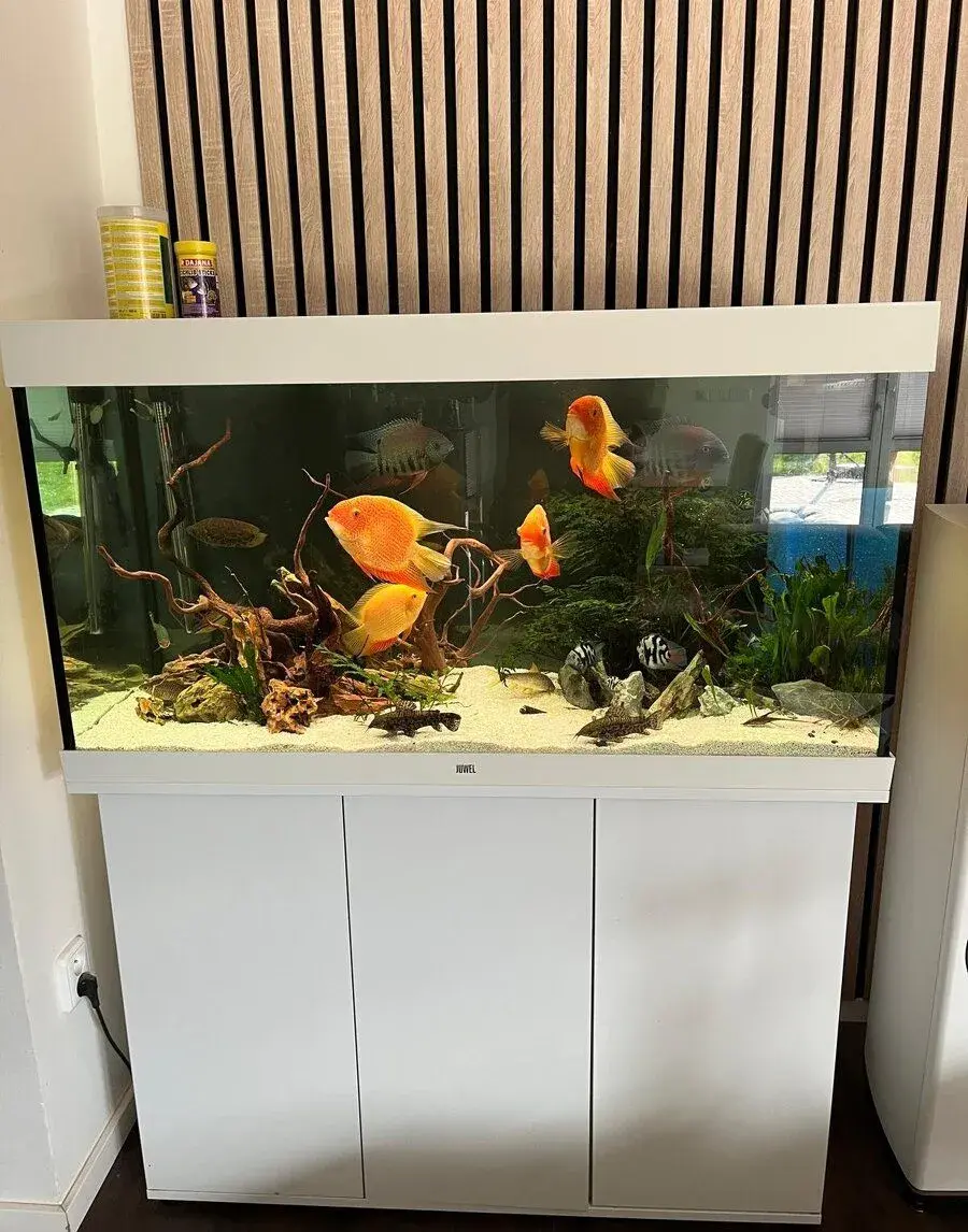 Akvárium Juwel Rio 350 l komplet – Smart High-Tech biotop (p