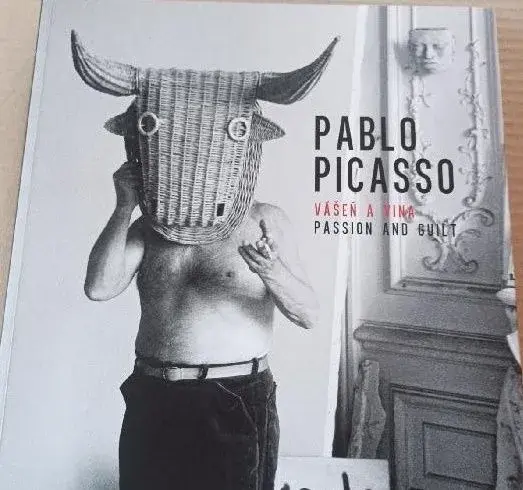 Pablo Piccaso Vášeň a vina