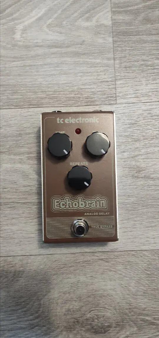 TC Electronic Echobrain
