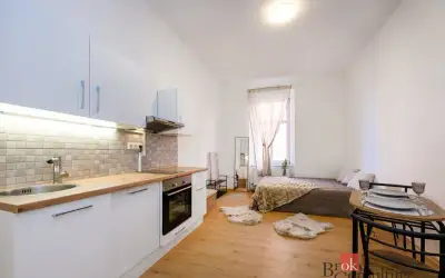 Prodej, byty/1+kk, 27 m2, Krátká 1003/2, Jižní Předměstí, 30