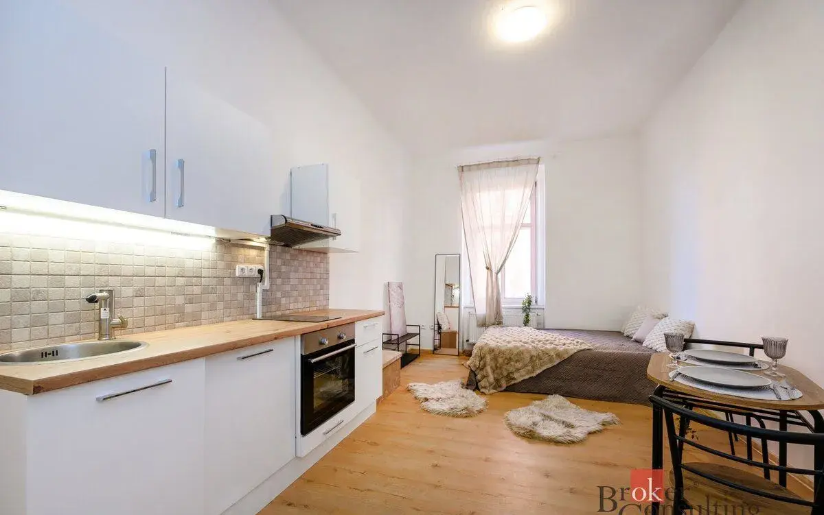 Prodej, byty/1+kk, 27 m2, Krátká 1003/2, Jižní Předměstí, 30