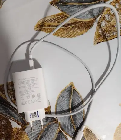 Nabíječka Vivo 90w.
