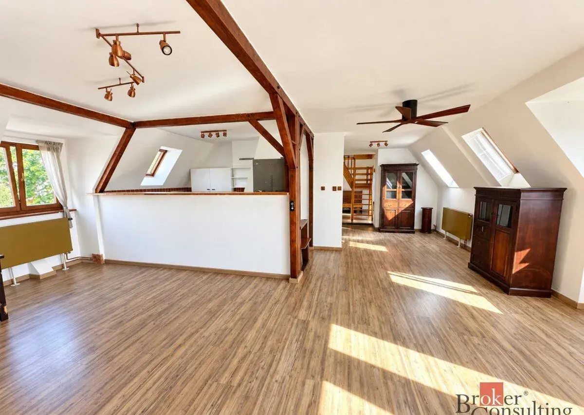 Prodej, byty/4+kk, 165 m2, Podkrušnohorská 1043, Horní Litví