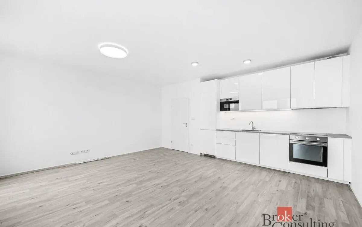 Prodej, byty/1+kk, 46.28 m2, Železná 3061/10, Jižní Předměst