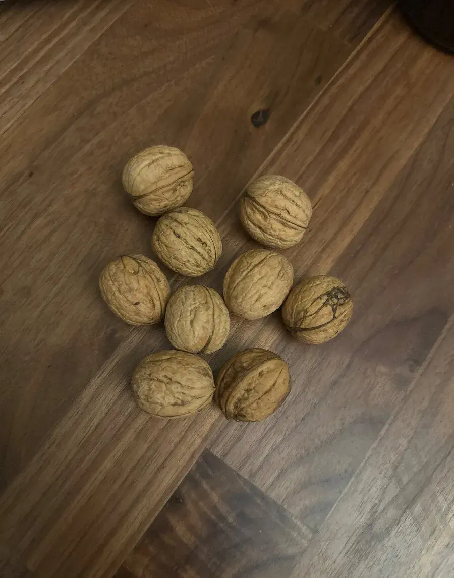 Vlašské ořechy 55 Kč/kg