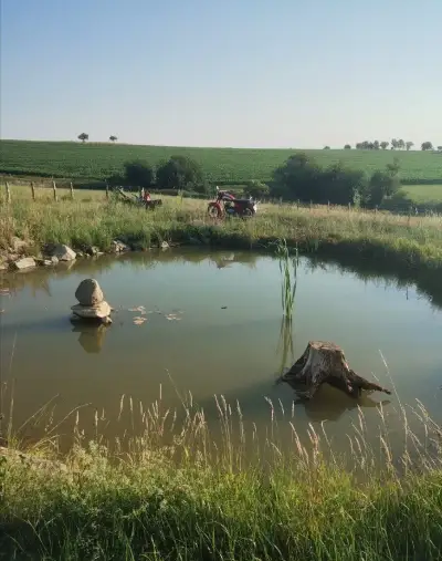 Pronájem zahrady