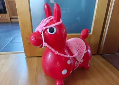 Skákající koník Rody do dobrých rukou:-)