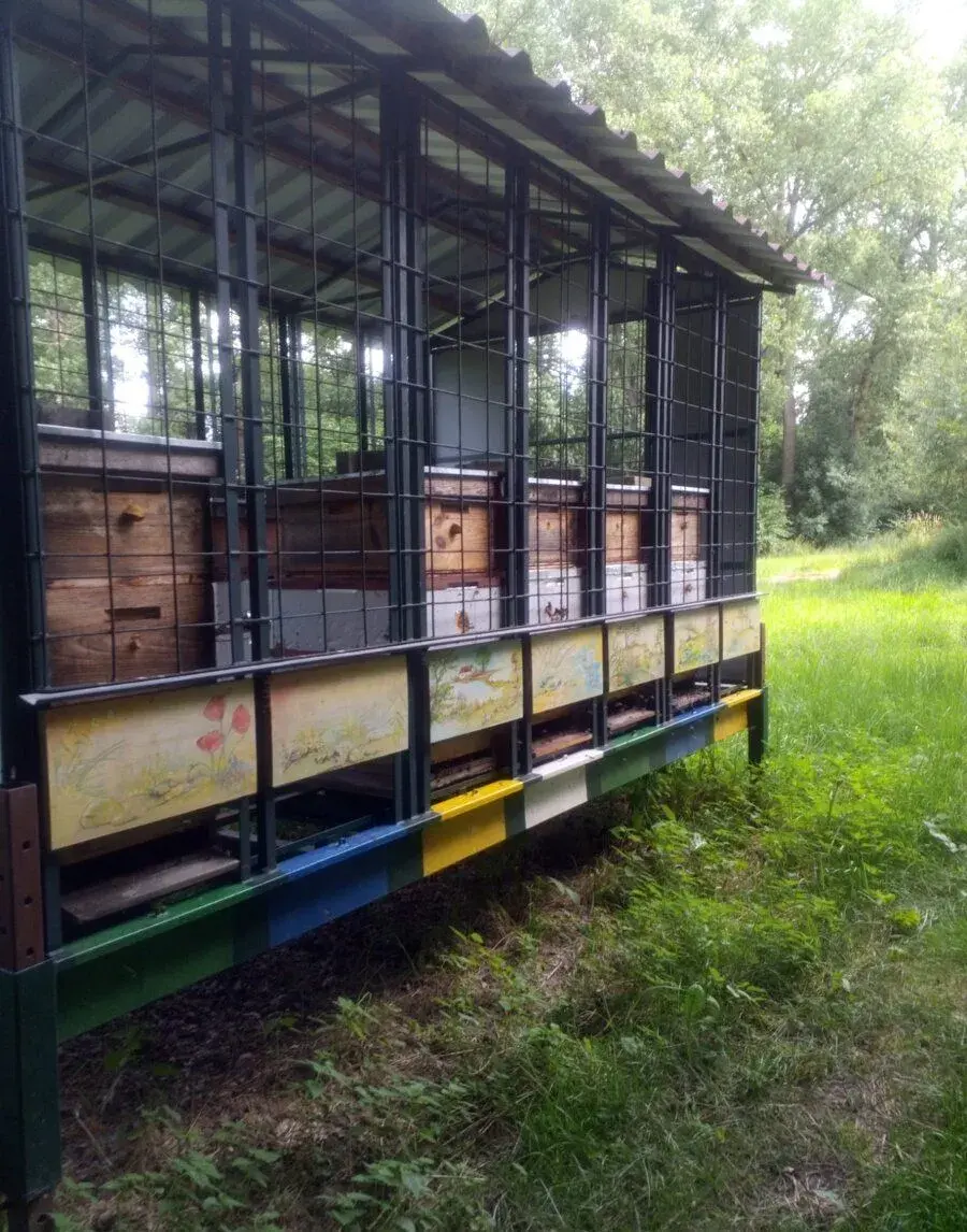 Včely, včelín, medárna, sklad souší, vybavení