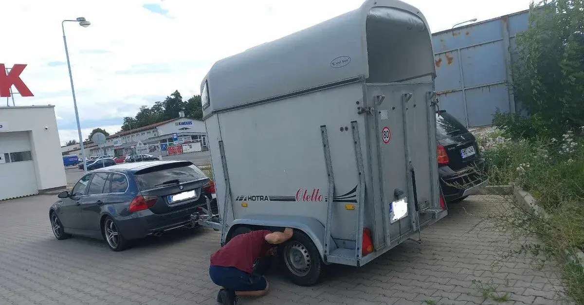 Pronájem přepravníku na jednoho koně