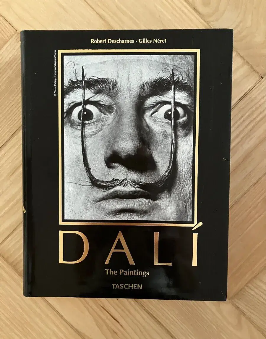 DALI The paintings