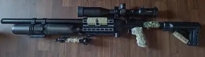 Pcp aea hp varmint .25