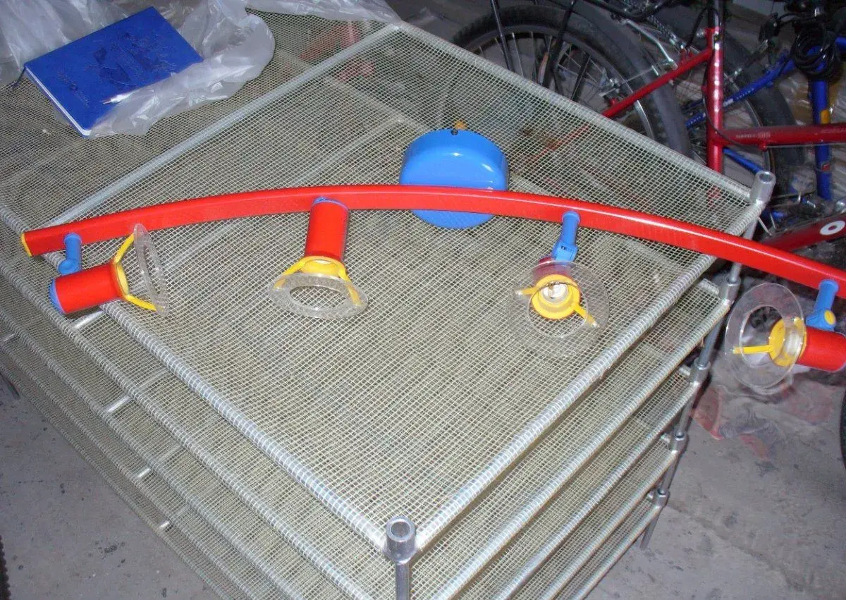 ramínkový čtyřbodový lustr