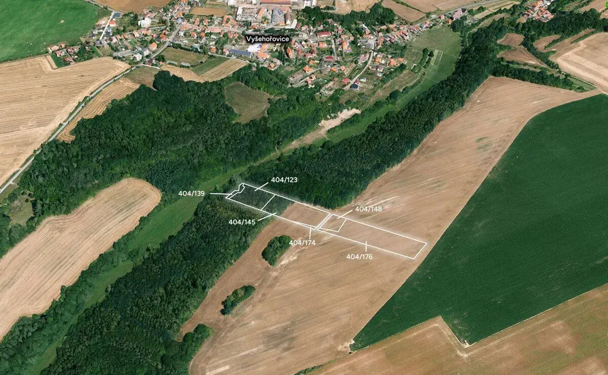 Les, prodej, Vyšehořovice, Praha východ