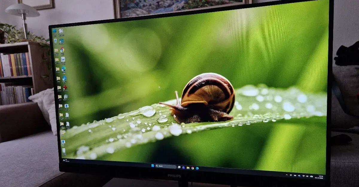 27" Philips 275E1S