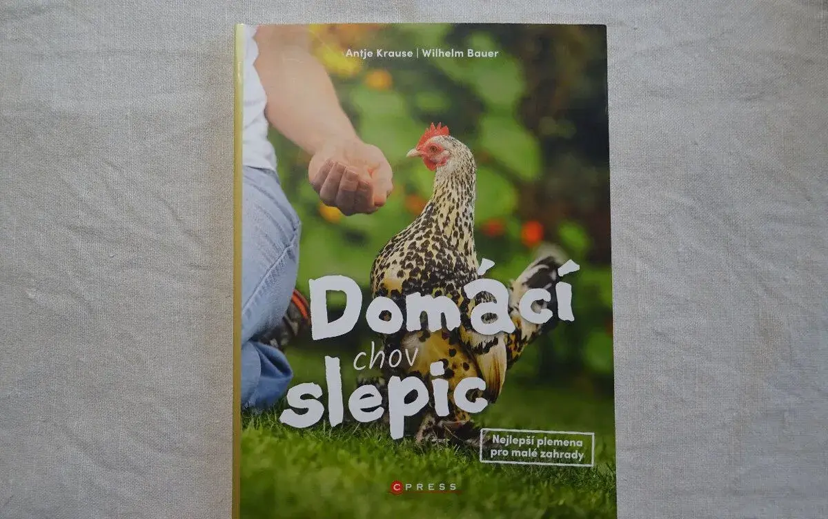 Domácí chov slepic