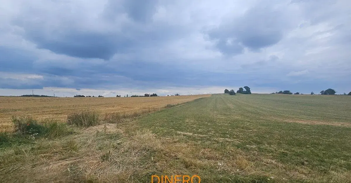 NA PRODEJ | Stavební pozemek 1.477 m2 | Náměšť nad Oslavou