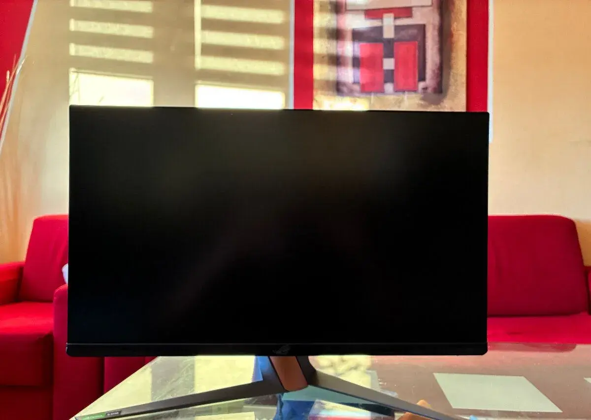 ROG Swift 360 Hz PG259QN-Herní monitor