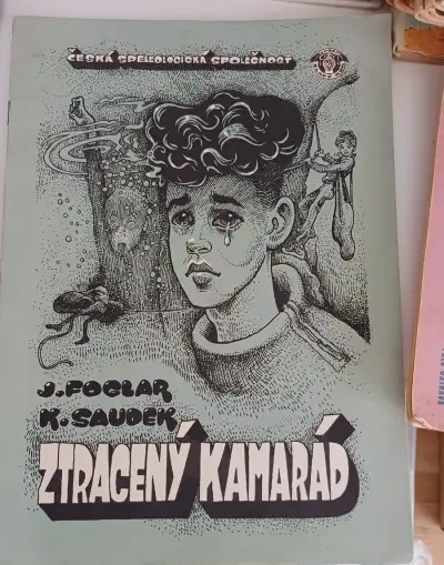 Ztracený kamarád