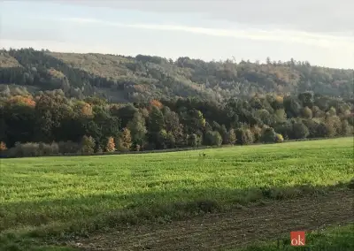 Prodej, pozemky/bydlení, 1395 m2, Čavisov, Ostrava-město [ID