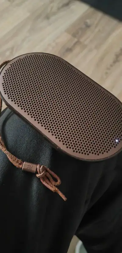 Bang & Olufsen BeoPlay P2