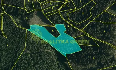 Prodej lesních pozemků, k.ú. Hovězí, okr. Vsetín, CP 9912 m2