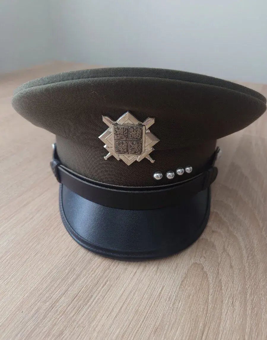Brigadýrka AČR