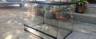 Terarium reptiplanet 60x45x45