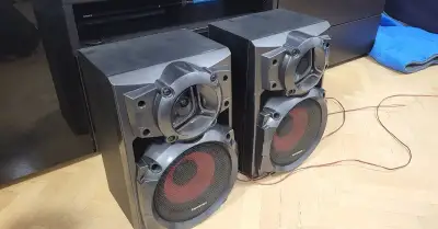 Repro Panasonic