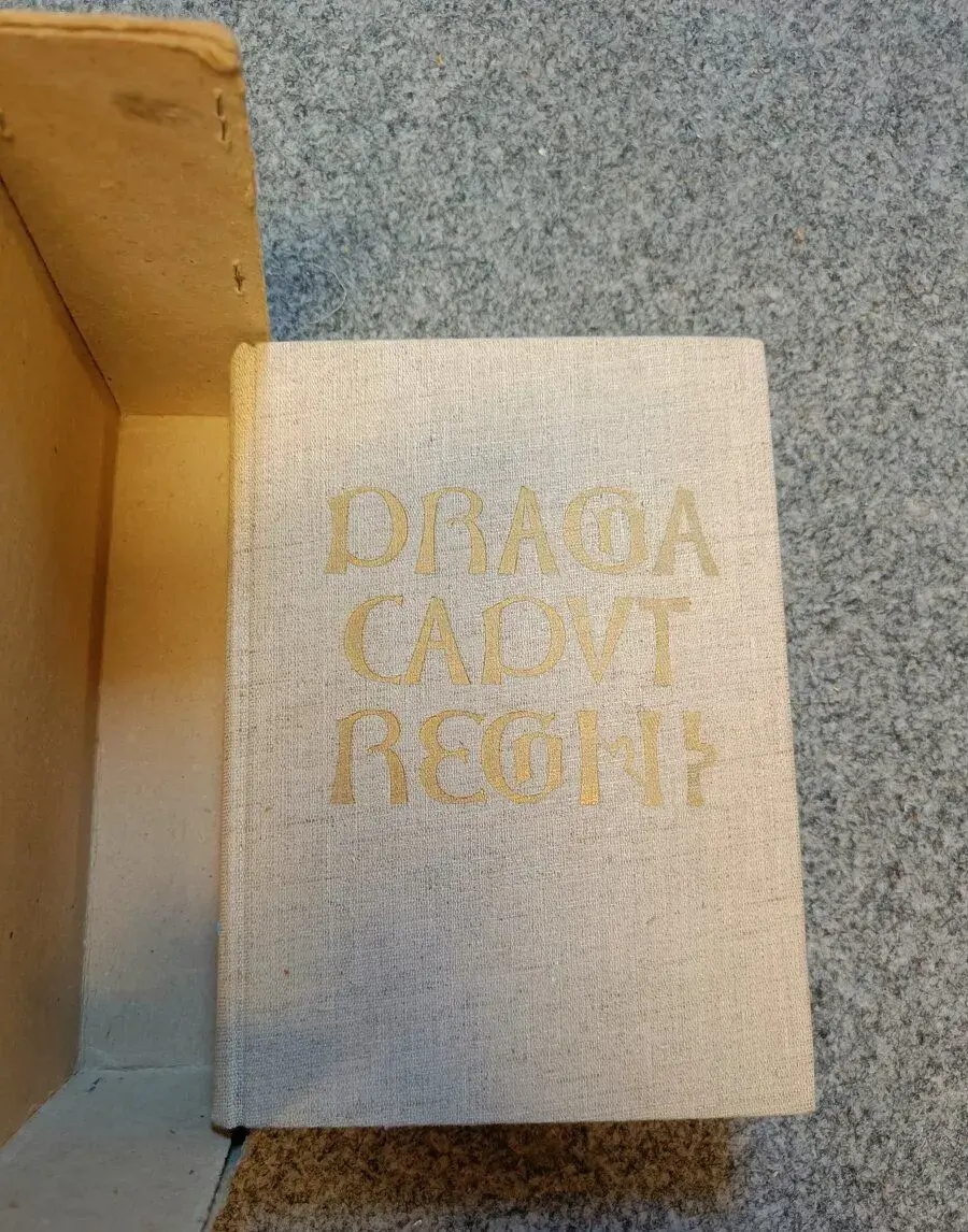 Praga caput regni