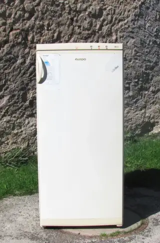 ŠUPLÍKOVÝ MRAZÁK - MRAZNIČKA ARDO - A+ - 120cm