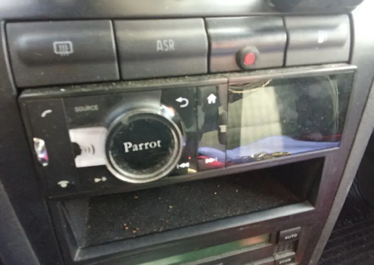 Parrot asteroid