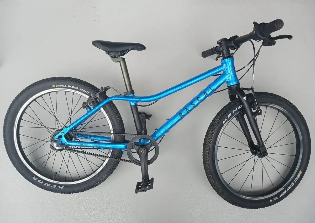 Dětské kolo Rascal 20, 3 rychlosti, modré