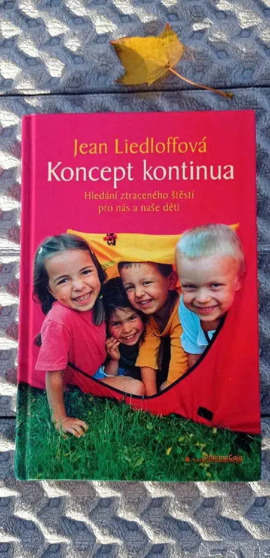 Koncept kontinua