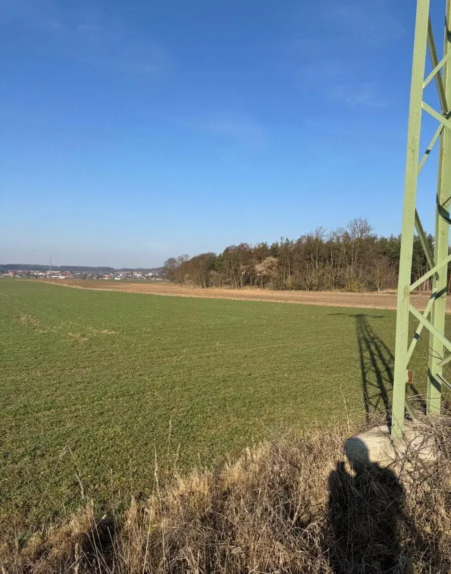 Prodej lesních pozemků k.ú. Sojovice