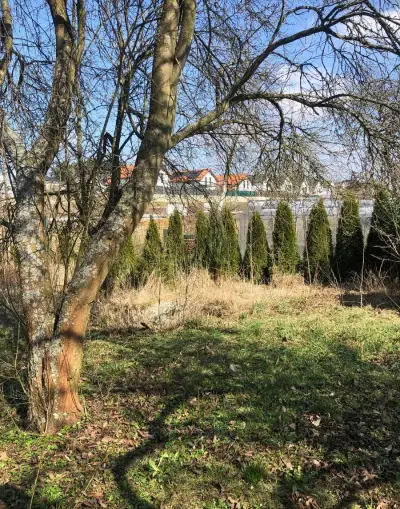 Pronajmu zahradu 800 m2 v Senci u Plzně, 150m od MHD