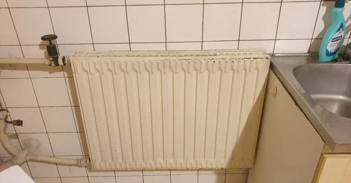 Radiator dvoudeskový plechový 600x800 -2ks